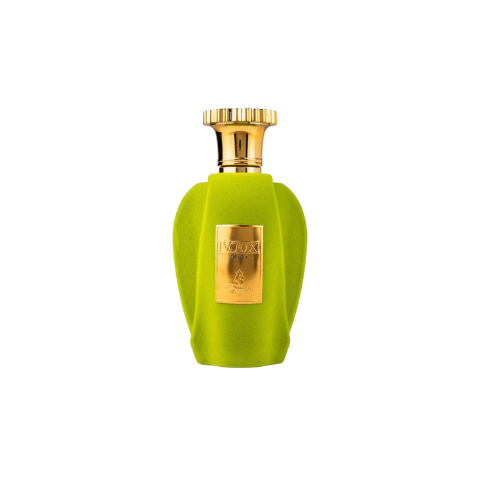 Emir Voux Zingy Eau de Parfum unisex 100 ml