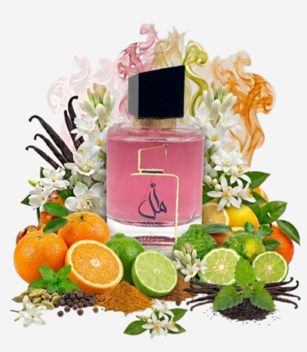 AMAL 100ML