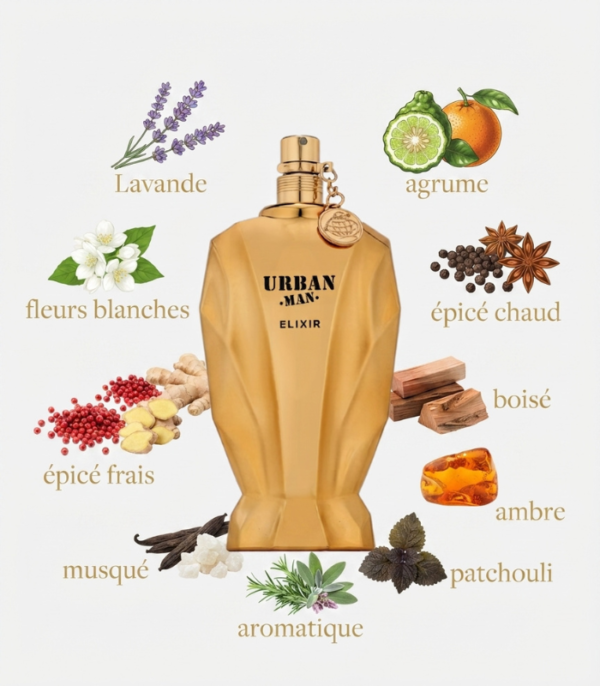 Urban Man Elixir