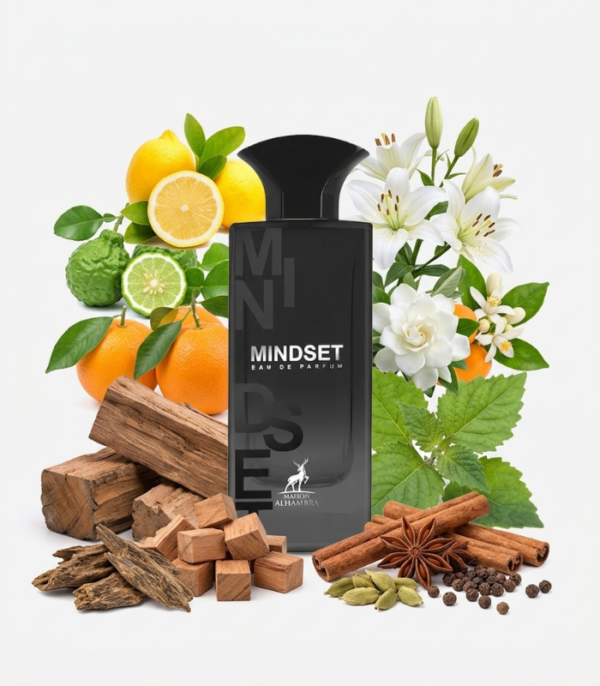 Mindset Maison