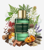 Cèdre vert