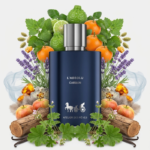 L'ABSOLU CARBON