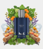 L'ABSOLU CARBON